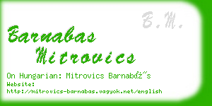 barnabas mitrovics business card